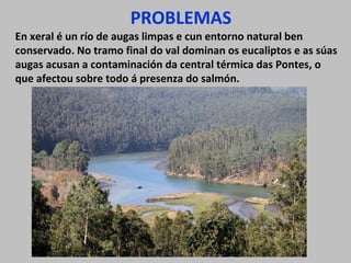 PROBLEMAS
En xeral é un río de augas limpas e cun entorno natural ben
conservado. No tramo final do val dominan os eucaliptos e as súas
augas acusan a contaminación da central térmica das Pontes, o
que afectou sobre todo á presenza do salmón.
 