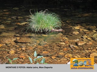 MONTAXE E FOTOS: Adela Leiro, Mon Daporta
 