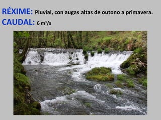 RÉXIME: Pluvial, con augas altas de outono a primavera.
CAUDAL: 6 m3
/s
 