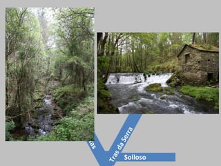 Xantas
TrasdaSerra
Solloso
 