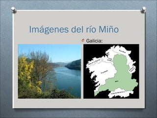 Imágenes del río Miño
            O Galicia:
 