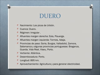 DUERO
O Nacimiento: Los picos de Urbión.
O Cuenca: Duero.
O Régimen: Irregular .
O Afluentes margen derecha: Esla, Pisuerga.
O Afluentes margen izquierda: Tormes, Adaja.
O Provincias de paso: Soria, Burgos, Valladolid, Zamora,
    Salamanca y algunas provincias portuguesas: Braganza,
    Guarda, Vida Real, Viseu, Porto.
O   Vertiente: Atlántica.
O   Desembocadura: Porto.
O   Longitud: 895 km.
O   Aprovechamiento: Agricultura y para generar electricidad.
 
