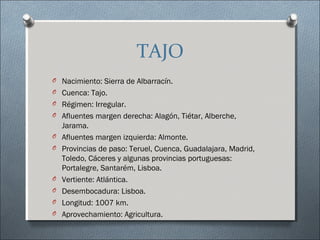 TAJO
O Nacimiento: Sierra de Albarracín.
O Cuenca: Tajo.
O Régimen: Irregular.
O Afluentes margen derecha: Alagón, Tiétar, Alberche,
    Jarama.
O   Afluentes margen izquierda: Almonte.
O   Provincias de paso: Teruel, Cuenca, Guadalajara, Madrid,
    Toledo, Cáceres y algunas provincias portuguesas:
    Portalegre, Santarém, Lisboa.
O   Vertiente: Atlántica.
O   Desembocadura: Lisboa.
O   Longitud: 1007 km.
O   Aprovechamiento: Agricultura.
 