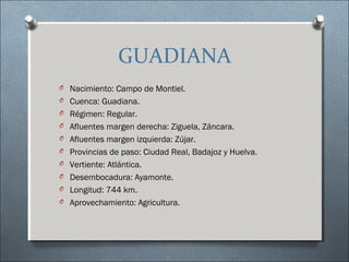 GUADIANA
O Nacimiento: Campo de Montiel.
O Cuenca: Guadiana.
O Régimen: Regular.
O Afluentes margen derecha: Ziguela, Záncara.
O Afluentes margen izquierda: Zújar.
O Provincias de paso: Ciudad Real, Badajoz y Huelva.
O Vertiente: Atlántica.
O Desembocadura: Ayamonte.
O Longitud: 744 km.
O Aprovechamiento: Agricultura.
 
