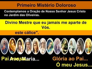 Primeiro Mistério Doloroso Ave, Maria... Glória ao Pai...  Ó meu Jesus... Pai nosso... Terminada a última ceia Jesus se dirige com os Apóstolos para o Jardim das Oliveiras. Chegando, toma consigo a Pedro, a Tiago e a João e os convida a rezar. Afastando-se um pouco deles, Jesus ora ao Pai: Meu Pai, se for possível, afasta de mim este cálice".  E acrescenta: Mas não se faça a minha vontade, senão a tua". Pai Celestial, cumpra-se em mim a vossa vontade, nas alegrias e nos sofrimentos. Em agonia espiritual Jesus sua sangue. Purificai-me, Jesus, com o vosso sangue precioso. Aos Apóstolos adormecidos diz: "Como? Não pudestes velar uma hora comigo?" Vigiai e orai para não cairdes em tentação", Perdoai-me, Senhor, todas as indiferenças ao vosso amor Judas atraiçoa o seu Mestre com um beijo. Divino Mestre que eu jamais me aparte de Vós. Contemplamos a Oração de Nosso Senhor Jesus Cristo no Jardim das Oliveiras. 