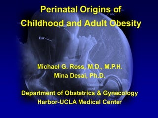Perinatal Origins of
Childhood and Adult Obesity
Michael G. Ross, M.D., M.P.H.
Mina Desai, Ph.D.
Department of Obstetrics & Gynecology
Harbor-UCLA Medical Center
 