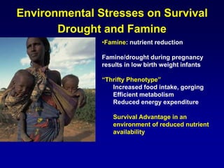 Environmental Stresses on Survival
Drought and Famine
•Famine: nutrient reduction
Famine/drought during pregnancy
results in low birth weight infants
“Thrifty Phenotype”
Increased food intake, gorging
Efficient metabolism
Reduced energy expenditure
Survival Advantage in an
environment of reduced nutrient
availability
 