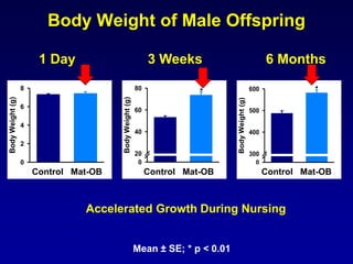 Body Weight of Male Offspring
1 Day 3 Weeks 6 Months
Mean ± SE; * p < 0.01
Control HF
BodyWeight(g)
0
2
4
6
8
Control HF
BodyWeight(g)
0
20
40
60
80
*
Control HF
BodyWeight(g)
0
300
400
500
600 *
Accelerated Growth During Nursing
Control Mat-OB Control Mat-OB Control Mat-OB
 