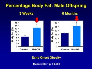 Percentage Body Fat: Male Offspring
3 Weeks 6 Months
Mean ± SE; * p < 0.001
Control HF
BodyFat(%)
0
2
4
6
8
10
12
14
16
*
Control HF
BodyFat(%)
0
5
10
15
20
25
30 *
Early Onset Obesity
Control Mat-OB Control Mat-OB
 