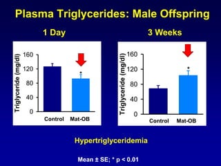 Plasma Triglycerides: Male Offspring
1 Day 3 Weeks
Mean ± SE; * p < 0.01
Control HF
Triglyceride(mg/dl)
0
40
80
120
160
*
Triglyceride(mg/dl)
0
40
80
120
160
*
Control HF
Hypertriglyceridemia
Control Mat-OB Control Mat-OB
 