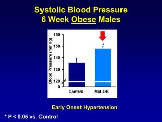 Systolic Blood Pressure
6 Week Obese Males
Control HF
BloodPressure(mmHg)
0
120
130
140
150
160
*
* P < 0.05 vs. Control
Early Onset Hypertension
Control Mat-OB
 