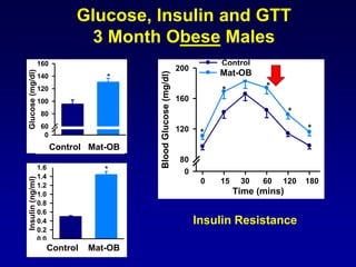 Glucose, Insulin and GTT
3 Month Obese Males
Time (mins)
BloodGlucose(mg/dl)
0
80
120
160
200
Control
HF
*
*
*
* *
*
0 15 30 60 120 180
Control HF
Glucose(mg/dl)
0
60
80
100
120
140
160
*
Control HF
Insulin(ng/ml)
0.0
0.2
0.4
0.6
0.8
1.0
1.2
1.4
1.6 *
Insulin Resistance
Control Mat-OB
Control Mat-OB
Mat-OB
 