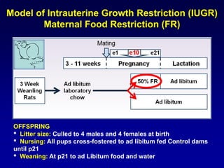 Model of Intrauterine Growth Restriction (IUGR)
Maternal Food Restriction (FR)
OFFSPRING
• Litter size: Culled to 4 males and 4 females at birth
• Nursing: All pups cross-fostered to ad libitum fed Control dams
until p21
• Weaning: At p21 to ad Libitum food and water
 