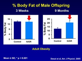 % Body Fat of Male Offspring
3 Weeks 9 Months
Mean ± SE; * p < 0.001 Desai et al, Am J Physiol, 2005
Control FR/AdLib
%BodyFat
0
4
8
12
16
Control FR/AdLib
%BodyFat
0
5
10
15
20
25
*
Adult Obesity
Control IUGR Control IUGR
 