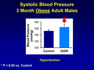Systolic Blood Pressure
3 Month Obese Adult Males
Control IUGR
BloodPressure
(mmHg)
120
130
140
150
160
*
* P < 0.05 vs. Control
Hypertension
 