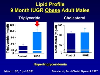 Lipid Profile
9 Month IUGR Obese Adult Males
Mean ± SE; * p < 0.001 Desai et al, Am J Obstet Gynecol, 2007
Hypertriglyceridemia
Control FR/AdLib
Triglyceride(mg/dl)
0
40
60
80
100
120
*
Control FR/AdLibCholesterol(mg/dl)
0
60
80
100
Triglyceride Cholesterol
Control IUGR Control IUGR
 