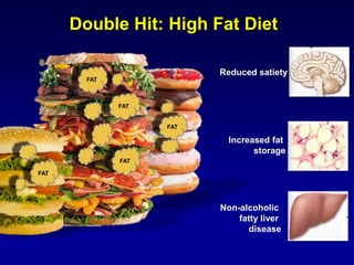 Non-alcoholic
fatty liver
disease
Increased fat
storage
Reduced satiety
FAT
FAT
FAT
FAT
FAT
Double Hit: High Fat Diet
 