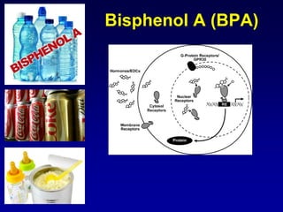 Bisphenol A (BPA)
 