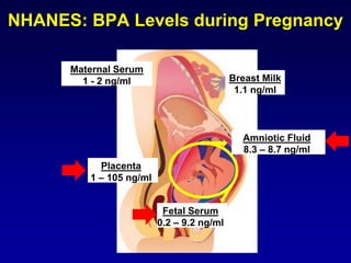 NHANES: BPA Levels during Pregnancy
Breast Milk
1.1 ng/ml
Maternal Serum
1 - 2 ng/ml
Placenta
1 – 105 ng/ml
Amniotic Fluid
8.3 – 8.7 ng/ml
Fetal Serum
0.2 – 9.2 ng/ml
 