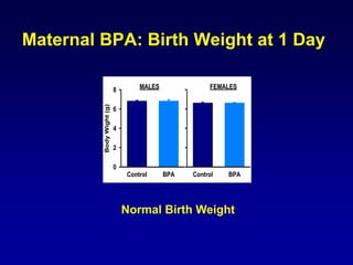 Maternal BPA: Birth Weight at 1 Day
SYSBP_MSYSBP_M
Control BPA
BodyWight(g)
0
2
4
6
8
Control BPA
MALES FEMALES
Normal Birth Weight
 