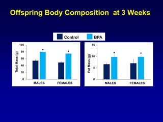 Offspring Body Composition at 3 Weeks
0
5
10
15
MALES FEMALES
FatMass(g)
0
20
40
60
80
100
MALES FEMALES
TotalMass(g)
* * * *
Control BPA
 