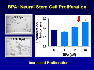 BPA: Neural Stem Cell Proliferation
BPA (M)
0 1 10 20
Proliferation
Index
0.0
0.1
0.2
0.3
*
*
BPA 0M
BPA 10M
Increased Proliferation
MTT
 