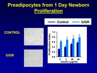 Preadipocytes from 1 Day Newborn
Proliferation
CONTROL
IUGR
ProliferationIndex
0.0
0.2
0.4
0.6
0.8
1.0
*
*
*
*
*
*
c
c
c
c
Insulin (g/ml)
0 5 20 40
Control IUGR
 
