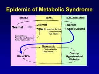 MOTHER INFANT ADULT OFFSPRING
Normal
Normal Normal
Medical Illness
Placental Insufficiency
Twins, Triplets, etc.
IUGR Improved Survival
- Food availability
- High fat diet
Obese/Diabetic
Obese/ BPA
Macrosomic
- Food availability
- High fat diet
Obesity/
Hypertension/
Diabetes
Epidemic of Metabolic Syndrome
 