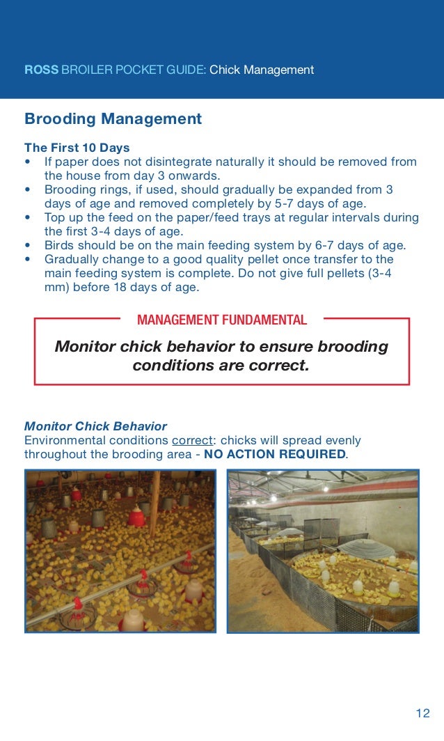 Ross broilerpocketguide2015en