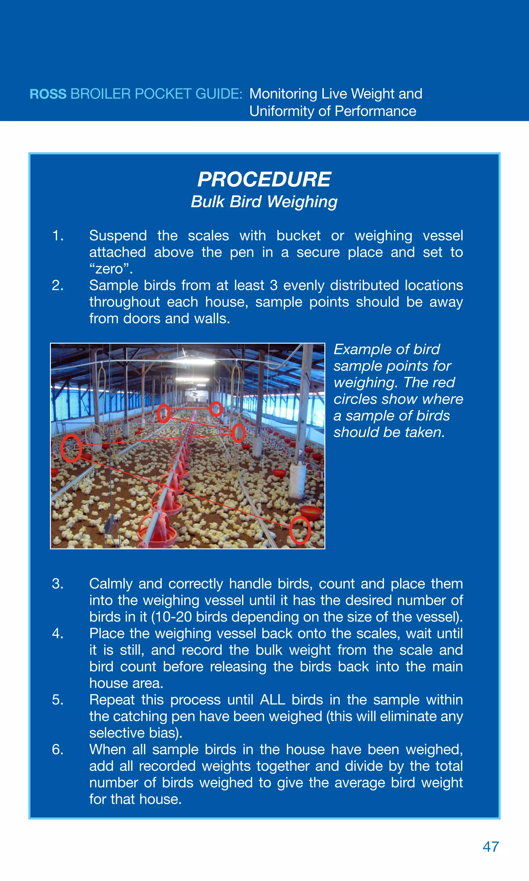 Broiler Farming Guide.pdf Broiler Pocket Guide – HR und Datenschutz