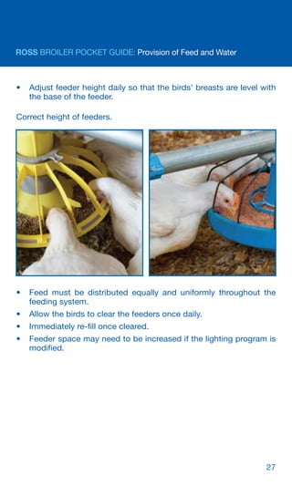 Ross broiler-pocket-guide-2020-en | PDF
