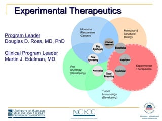 Program Leader Douglas D. Ross, MD, PhD Clinical Program Leader Martin J. Edelman, MD Experimental Therapeutics Molecular & Structural  Biology Hormone Responsive Cancers Viral Oncology (Developing) Tumor Immunology (Developing) X-Ray Crystallography Clinical Research Proteomics Flow Cytometry Experimental Therapeutics Biopolymer Tissue/ Biorepository Translational Biostatistics 