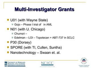Multi-Investigator Grants U01 (with Wayne State) Gojo – Phase I trial of  in AML N01 (with U. Chicago) Chumsri –  Edelman – LOI – Topotecan + ABT-737 in SCLC P30 (Dorsey) SPORE (with TI, Cullen, Suntha) Nanotechnology – Swaan et. al.  