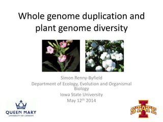 Whole genome duplication and
plant genome diversity
Simon Renny-Byfield
Department of Ecology, Evolution and Organismal
Biology
Iowa State University
May 12th 2014
 
