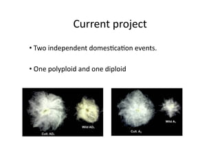 Whole genome duplication and diversification of plant genomes | PDF