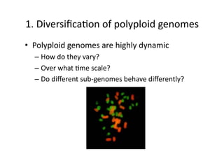 Whole genome duplication and diversification of plant genomes | PDF