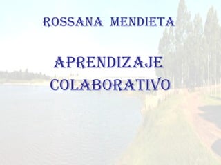 Rossana  mendieta ,[object Object],[object Object]