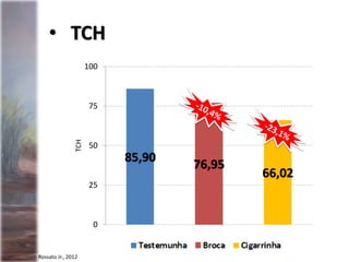 85,90
76,95
66,02
0
25
50
75
100
TCH
• TCH
Rossato Jr., 2012
 
