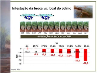 0% 15,7% 27,2% 13,1% 28,8% 25,2% 54,9% 19,9%
OCT MARFEVNOV JANDEZ ABR AGOMAI JULJUN SET
INFESTAÇÃO DA BROCA-DA-CANA
0
-0,3 -9,2 -10,7 -12,1 -12,4
-25,2
-32,3-40
-30
-20
-10
0
TEST M M+S S I+S I+M I+M+S I
TCH
Tavares, 2013
%II
Infestação da broca vs. local do colmo
 
