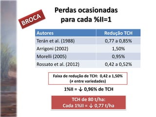 Perdas ocasionadas
para cada %II=1
Autores Redução TCH
Terán et al. (1988) 0,77 a 0,85%
Arrigoni (2002) 1,50%
Morelli (2005) 0,95%
Rossato et al. (2012) 0,42 a 0,52%
Faixa de redução de TCH: 0,42 a 1,50%
(≠ entre variedades)
1%II = ↓ 0,96% de TCH
TCH de 80 t/ha:
Cada 1%II = ↓ 0,77 t/ha
 