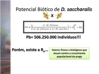 Potencial Biótico de D. saccharalis
Pb= 506.250.000 indivíduos!!!
Porém, existe a Ra... Fatores físicos e biológicos que
atuam contra o crescimento
populacional da praga
X
 