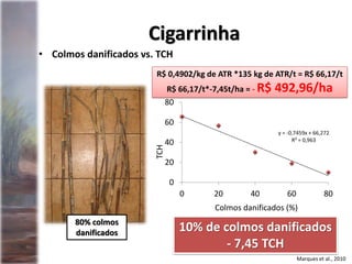 • Colmos danificados vs. TCH
Cigarrinha
y = -0,7459x + 66,272
R² = 0,963
0
20
40
60
80
0 20 40 60 80
TCH
Colmos danificados (%)
Marques et al., 2010
80% colmos
danificados 10% de colmos danificados
- 7,45 TCH
R$ 0,4902/kg de ATR *135 kg de ATR/t = R$ 66,17/t
R$ 66,17/t*-7,45t/ha = - R$ 492,96/ha
 