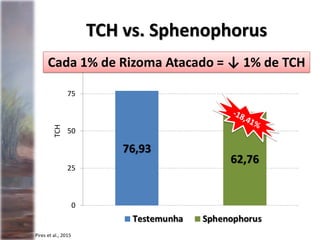 76,93
62,76
0
25
50
75
100TCH
Pires et al., 2015
TCH vs. Sphenophorus
Cada 1% de Rizoma Atacado = ↓ 1% de TCH
 