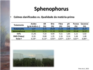 • Colmos danificados vs. Qualidade da matéria-prima
Sphenophorus
Pires et al., 2015
Tratamento
Acidez
(g de H2SO4.L-1 )
AR
(%)
Brix
(%)
Fibra
(%)
pH
(%)
Pureza
(%)
Sacarose
(%)
Testemunha 1,07 0,72 20,64 11,33 4,98 88,97 18,37
Sphenophorus 1,03 0,74 21,20 10,99 5,06 89,48 18,97
CV% 11,45 7,32 4,44 7,11 1,85 1,11 5,42
DMS (Tukey) 0,18 0,08 1,35 1,16 0,14 1,44 1,48
Teste F 0,18ns 0,13ns 0,93ns 0,47ns 1,95ns 0,67ns 0,89ns
 