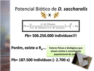 Potencial Biótico de D. saccharalis
Pb= 506.250.000 indivíduos!!!
Porém, existe a Ra...
Pb= 187.500 indivíduos (- 2.700 x)
Fatores físicos e biológicos que
atuam contra o crescimento
populacional da praga
X
 