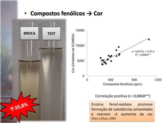 y = 9,8722x + 2135,9
R² = 0,8868**
0
5000
10000
15000
0 400 800 1200
Cor(UnidadesdeICUMSA)
Compostos fenólicos (ppm)
Correlação positiva (r= 0,8868**)
• Compostos fenólicos → Cor
BROCA TEST
Enzima fenol-oxidase promove
formação de substâncias amareladas
e marrom → aumento da cor
Chen e Chou, 1993
 
