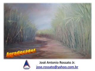 José Antonio Rossato Jr.
jose.rossato@yahoo.com.br
 