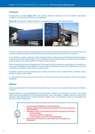 110 2014
ROSS BROILER MANAGEMENT HANDBOOK:
Transport
Transportation vehicles (Figure 60) must provide adequate protection from the weather, appropriate
ventilation, and comply with local current legislation.
Figure 60: Example of a vehicle suitable for transporting broilers to the processing plant.
The micro-climate in the bird compartment of the transport vehicle will be different to the temperature and
humidity outside. Ventilation and extra heating and/or cooling should be used when necessary.
In hot weather, consider using fans while loading the birds to keep the air circulating through the crates or
modules on the truck. Allow at least 10 cm (4 in) between every 2 tiers of crates or introduce empty transport
crates at regular intervals throughout the load to improve airflow.
Birds can quickly become overheated when the transport vehicle is stationary, particularly in hot weather or
if on-board ventilation is not available. The journey plan should allow the vehicle to leave the farm as soon
as loading is completed. Driver breaks should be short.
Complete unloading at the processing plant holding area without delay. Supplementary ventilation will be
required if delay is unavoidable.
In cold weather, the load should be covered to minimize wind chill during transport. Check bird comfort
frequently.
Delivery
At the processing plant, the trucks should be parked under cover and any canvas that may restrict ventilation
removed.
Holding facilities at the processing plant should provide ventilation and temperature control. The holding
areas should be equipped with fully operational lights, fans, and foggers. Foggers should be used during
periods of high temperatures if relative humidity is below 70%. In hot weather, water can be sprayed into
the fans to assist evaporation.
•	 Local transport legislation must be followed.
•	 Vehicles must provide adequate protection from the environment
and ventilation.
•	 Ventilation and/or extra heating should be used when necessary:
-- during loading,
-- when the vehicle is stationary,
-- at the holding area at the processing plant.
•	 Birds should not remain on the vehicle for any longer than
necessary.
Pre-Processing Management
Key
Points
 