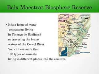 Baix Maestrat Biosphere Reserve
●
It is a home of many
ecosystems living
in Tinença de Benifassà
or travesing the brave
waters of the Cervol River.
You can see more than
100 types of animals
living in different places into the comarca.
 
