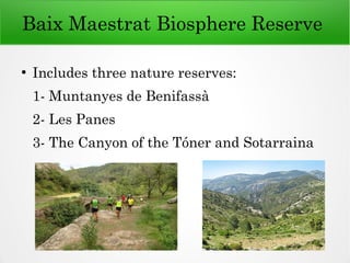 Baix Maestrat Biosphere Reserve
●
Includes three nature reserves:
1- Muntanyes de Benifassà
2- Les Panes
3- The Canyon of the Tóner and Sotarraina
 